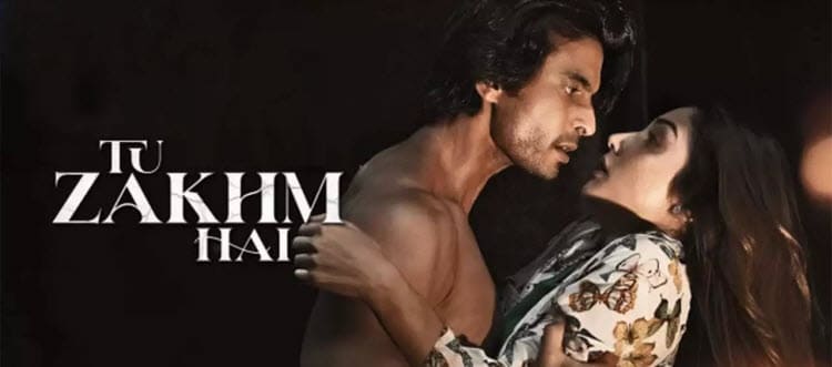 Ты Боль 1-2 Сезон / Tu Zakhm Hai (2022-2023) индийский сериал смотреть онлайн на русском языке